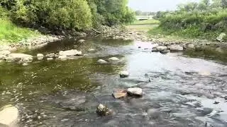 Sturgeon Creek
