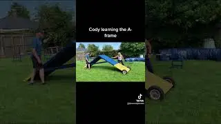 Cody&rsquo;s running A-frame training - dog agility