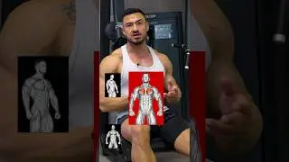 Brusttraining perfekt erkl&auml;rt 🔥