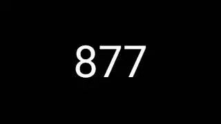 #877
