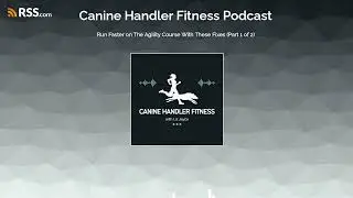Run Faster on The Agility Course With These Fixes (Part 1 of 2)