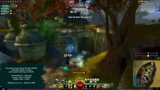 Guild Wars 2. Пробный запуск после долгого перерыва.