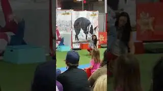 Ultimutts Stunt Dog Show
