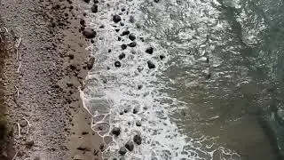 El Capit&aacute;n State Beach