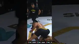 BEST KNOCKOUTS OF CFC20! #mma #boxing #knockouts