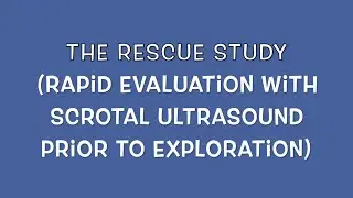 The RESCUE Study: Rapid Evaluation with Scrotal Ultrasound prior to Exploration