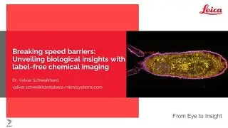 Breaking Speed Barriers: Unveiling Biological Insights with Label-Free Chemical Imaging