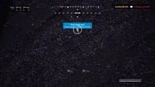 Vigor Tomato ACE.