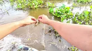 the lives of rural Vietnamese people, visiting fishing nets on the river