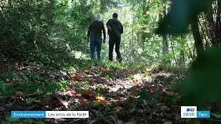 Des citoyens se regroupent pour g&eacute;rer durablement les for&ecirc;ts