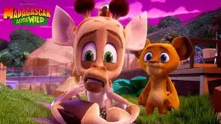 Alex Helps Melman Overcome his Fears! 😨 | Madagascar: A Little Wild | Animal Friends