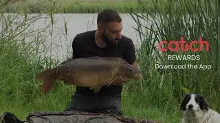 Catch Features - Catch Rewards