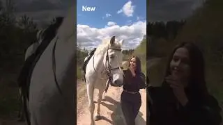 Horse Love is Real! 😍🐎 | #shorts #viral #trending | SonuAIentertain |