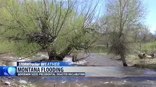 Bullock requests federal disaster declaration for flooding