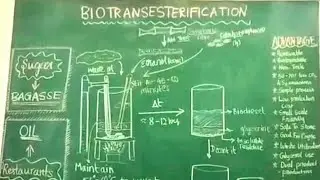 Production of Biodiesel from Waste Oil | School Innovation Marathon by The PSBBMS OMR, Chennai
