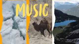 Music 🎶 / islamic music 🎶/ nice music 🎶/ relaxing music 🎶 