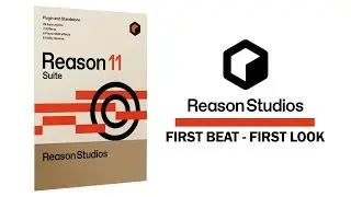 Reason Studios Reason 11 Suite &mdash; первый тест и обзор плагина VST Rack