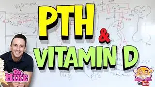 Parathyroid Hormone & Vitamin D