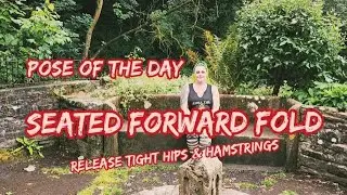 Pose of the Day - Seated Forward Fold to Release Tight Hips & Hamstrings