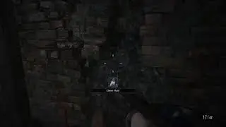 Road to RE9! RE Village
