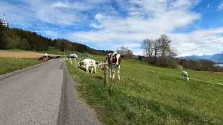 #132 - Mont P&egrave;lerin (mont&eacute;e au sommet)