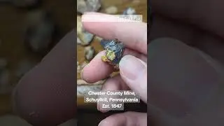 Covellite from the Chester County Mine in Schuylkill, Pennsylvania. #geology #history #crystals