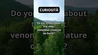 #Curiosity #shorts #CuriousMind #StayCurious
