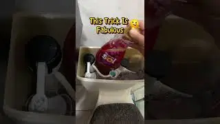 Keep your toilet always clean and smelling fresh. #home #hack #tips #lifehacks