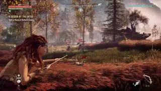 Test Video quality
