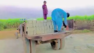 #watch this video to see how  concrete blocks are loaded into trolley #foryou #unfrezmyaccount #
