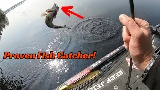 Forgotten Bait? Don&rsquo;t Sleep On This Juicy Morsel!