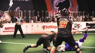 2016 New England Black Wolves