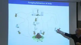 Equation Discovery with Genetic Programming