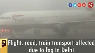 Heavy fog continues to affect transport in Delhi for fourth day