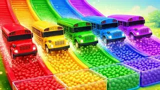 Learn Colors with School Buses 🚍 | Kids Color Learning