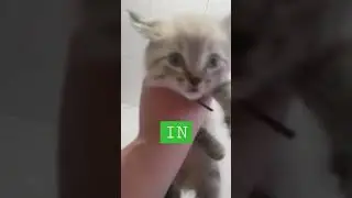 1 ноября 2021 г.