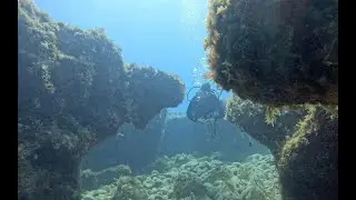 Dive Ref 21050   Xwejni & Marsalforn Sta  Maria   2025 06 01   4K
