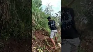 Pembersihan lahan #cleaning #daily #satisfying #viral