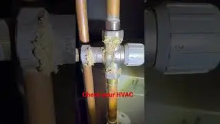 Check your HVAC. #hvac #plumbing #homeinspection #homeinspector #leaks #leak #water #fix #boiler