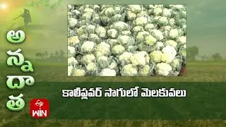 Tips in Cauliflower farming | ETV