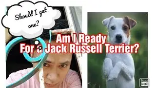 Vlog.6- Ready kana ba? sa First Jack Russell Terrier mo?