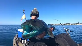 Opening Day 2020!!! First Lingcod of the Year!