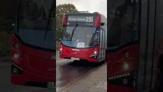 LF73 DXV, VMSL2855 | 251 Arnos Grove