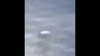 Real Or Fake ???#UFO