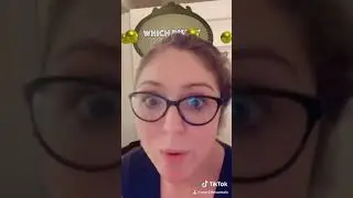 How to Get the &ldquo;Which Disney Character are you?&rdquo; Filter on TikTok!