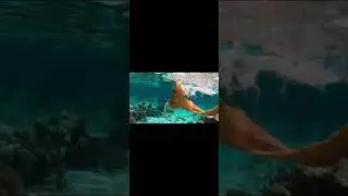 Mermaid in Belize