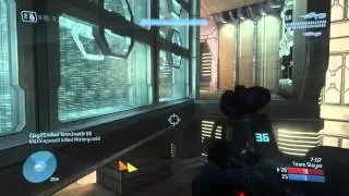 Halo: The Master Chief Collection Bulltrue