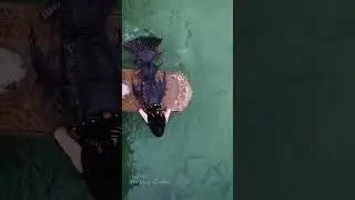 River Mermaid tries to jump a support beam...   #themagiccrafter