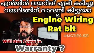 എലി കടിച്ചു വയറിങ് മാറി കിട്ടുമോ | Rat bite the Wiring Replace will it get warranty | #MGTIPS -521
