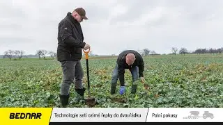 BEDNAR: Technologie setí ozimé řepky do dvouřádku | 2. vyhodnocení porostů